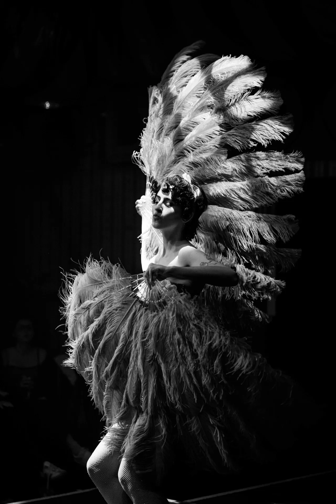 performing art, burlesque, dancer, cabaret, show, performers