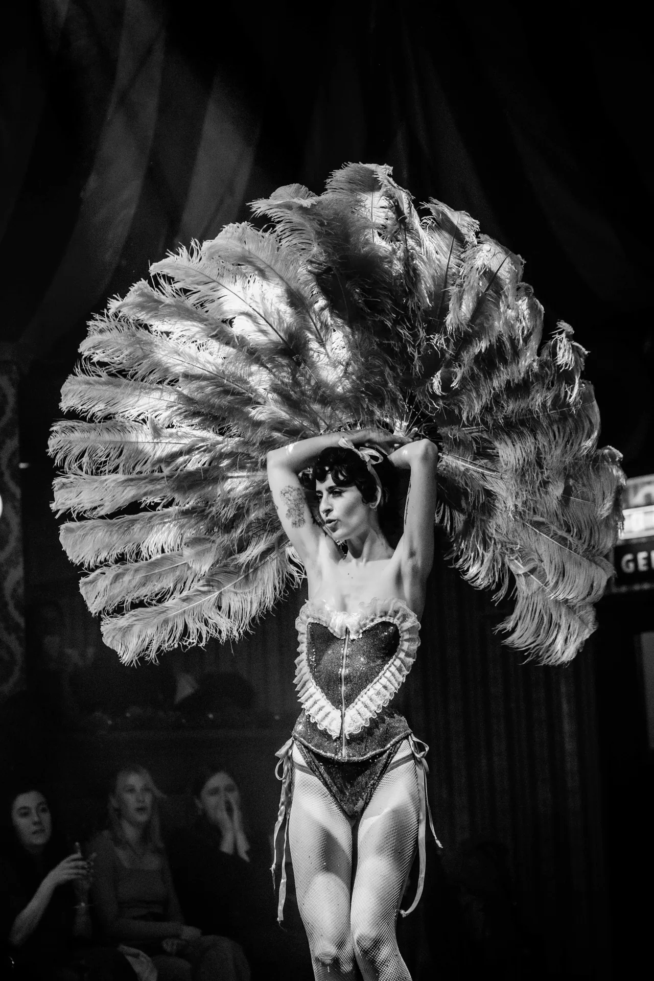 performing art, burlesque, dancer, cabaret, show, performers