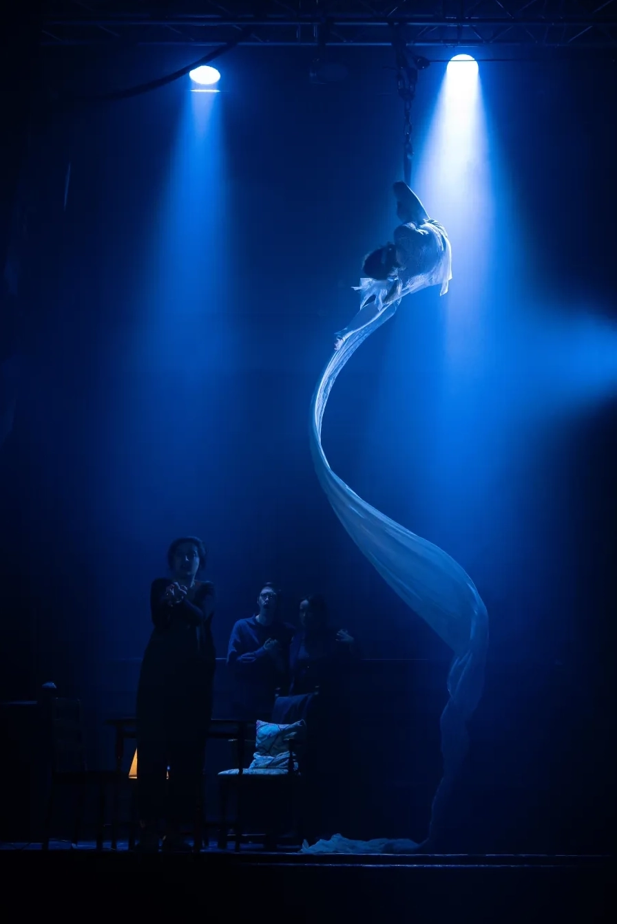 live performing art, aerialist, cabaret, show, performers
