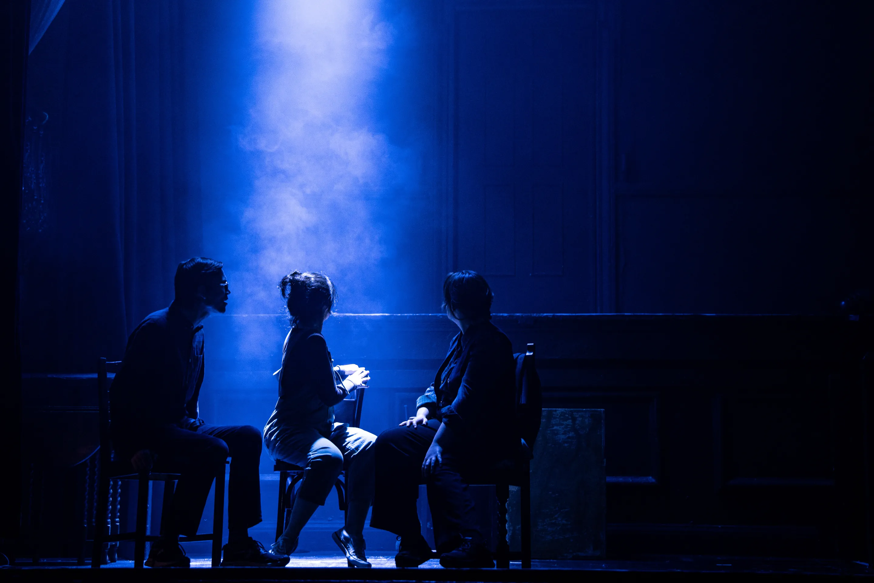 aerial performance, theatre performing art, play, aerial circus act, live performance