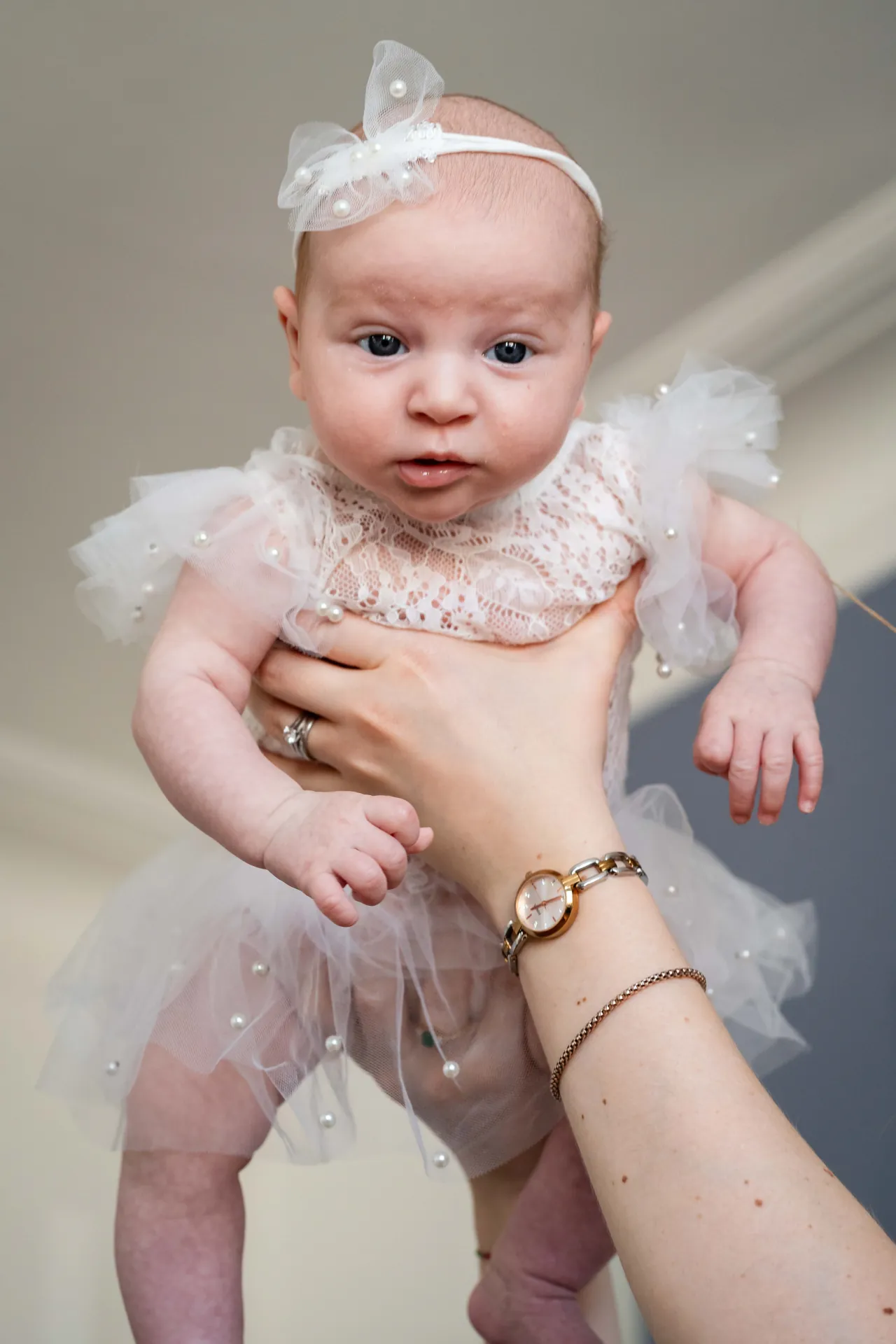 family portrait, newborn, parents, children photoshoot